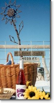 Picnic at Mount Sunflower